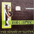 Hound of Ulster