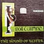 Hound of Ulster