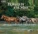 Horses In The Mist 2010 Wall Calendar