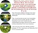 The Fantastic Get More Biz, Success Principles and Inner Game for Swimming Pool Covers Internet Businesses 3 CD Power Pack