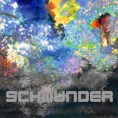 Schwunder