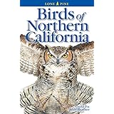 birds of northern california lone pine field guides
