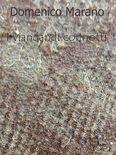 I viandanti connotti (Italian Edition)