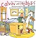 Produkt-Bild: Calvin und Hobbes, Band 6: Wissenschaftlicher Fortschritt macht "Boing": BD 6