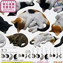 ガチャガチャ ネイチャーテクニカラーMONO ネコ マグネットxストラップ 全16種セット