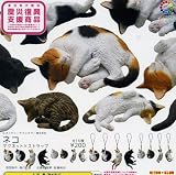 ガチャガチャ ネイチャーテクニカラーMONO ネコ マグネットxストラップ 全16種セット