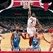 Chicago Bulls 2008 Wall Calendar