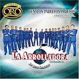 La Arrolladora Banda el Limon - En Los Puros Huesos y Muchos Exitos Mas: Linea de Oro