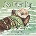 Sea Otter Pup