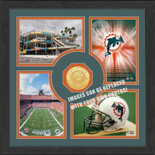 NFL Miami Dolphins 
