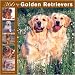 golden retriever - 365 Days of Golden Retrievers 2008 Wall Calendar