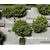 Olin: Placemaking