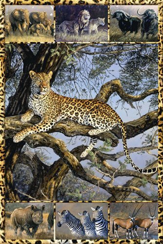 1art1 Empire 95800 African Wild Elefant L&ouml;we Nashorn Gepard Poster Afrika - 61 x 91.5 cm