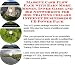 Book Massive Cash Flow Pack with Earn More Money, Inner Game and Biz Networking for Dog Training Collars Internet Businesses 3 CD Power Pack
