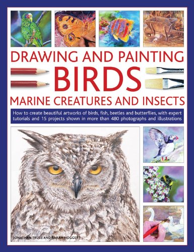 Drawing And Painting Birds, Marine Creatures and Insects: How to create beautiful artworks of birds, fish, beetles and butterflies, with expert. and illustrations (Drawing & Painting)