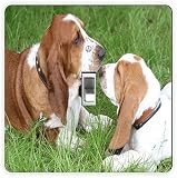 Rikki Knight Basset Hound Puppies-Single Toggle Light Switch Plate