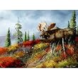 Morning Mist 1000pc Jigsaw Puzzle by Trevor Swanson