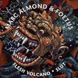 Flesh Volcano/Slut