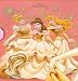 Disney Princess enchanted tales Raschel Royal Plush Twin Blanket Throw New!