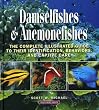 Damselfishes & Anemonefishes