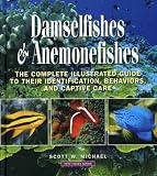 Damselfishes & Anemonefishes (Reef Fishes)