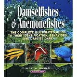 Damselfishes & Anemonefishes (Reef Fishes)