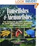 Damselfishes & Anemonefishes (Reef Fishes)