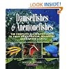 Damselfishes & Anemonefishes (Reef Fishes)