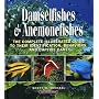 Damselfishes & Anemonefishes: The Complete Illustrated Guide to Their Identification, Behaviors, and Captive Care (Reef Fishes) (Reef Fishes)