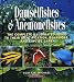 Damselfishes & Anemonefishes (Reef Fishes)