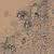 Wayfaring Strangers: Guitar Soli