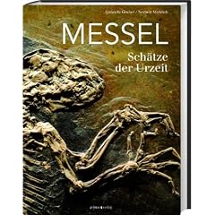Messel: Sch�tze der Urzeit