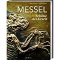 Messel: Sch�tze der Urzeit