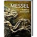 Messel: Sch�tze der Urzeit