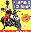 Flaming Iguanas: An Illustrated All-Girl Road Novel Thing