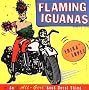Flaming Iguanas: An All-Girl Road Novel Thing!