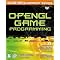 Begin a career as a game programmer