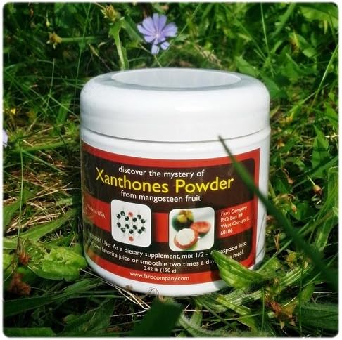 Super Anti-Oxidant - Xanthones Powder for DIY Mangosteen Juice