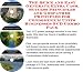 Massive Cash Flow Pack with How To Earn Extra Money, Marketing and Success Principles for Condominium Units On-line Businesses 3 CD Power Pack