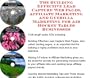 The Guerilla Marketing, Building Effective Lead Capture Web Pages, Affiliate Marketing for Air Hockey Tables Businesses