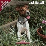 Eigenschaften Avonside Publishing Ltd.  / Kalender 2009 Jack Russell Terrier