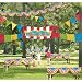 Carnival Giant Decorating Kit