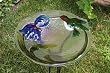 Evergreen 2GB011 Glass Bird Bath, Hummingbird, 18-Inches Diameter [Lawn & Patio]