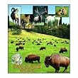 Custer Park, South Dakota Coverlet