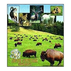 Custer Park, South Dakota Coverlet
