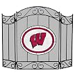 Wisconsin Fireplace Screen