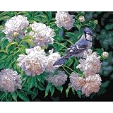 by Plaid (2) Buy new:$18.99$10.13 9 used & newfrom$10.13
