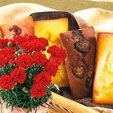 ≪母の日ギフト≫カーネーション＆銀座千疋屋...