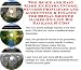 Book The Quick and Easy Make An Extra Income, Success Principles and Accounting & Finance for Bridal Shower Games On-line Biz Package (3 CDs)