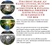 Book The Best Make An Extra Income, Success Principles and Accounting & Finance for Bridal Shower Gifts On-line Businesses 3 CD Course